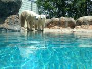 suikaさんの豊橋総合動植物公園(のんほいパーク)の投稿写真1