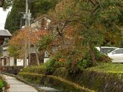 ミオンさんの金山町の街並みの投稿写真4