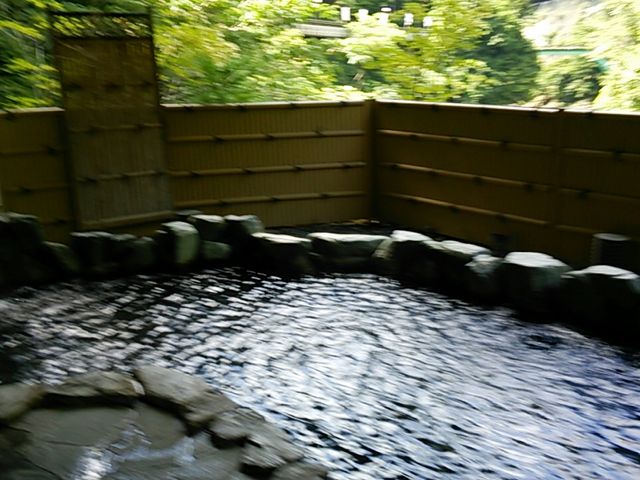 露天風呂は風が心地いい〜!!
_龍神温泉元湯