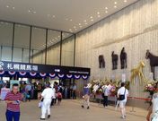 ayuaさんの日本中央競馬会札幌競馬場の投稿写真1