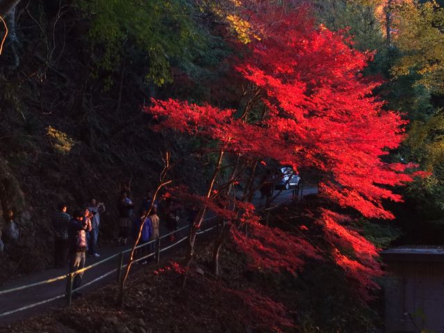 鳳来寺山