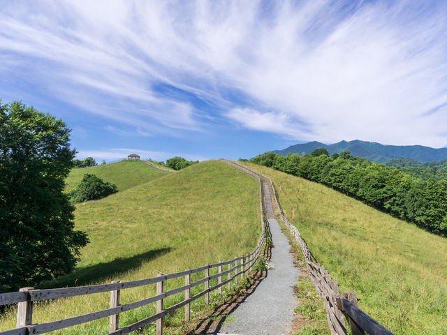 牧場の中を展望台へ向かう遊歩道_八千代公共育成牧場