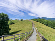 Hokkaidoさんの八千代公共育成牧場の投稿写真2