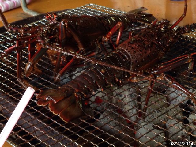伊勢海老の丸焼き_天草海鮮蔵