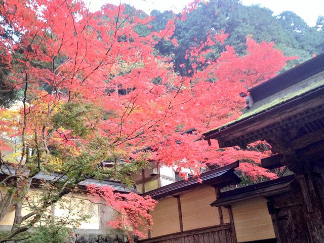 紅葉の時期はそこそこ混みます_両界山 横蔵寺