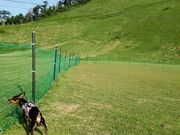 ややさんの豪円山の投稿写真1