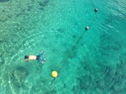 りぃこさんの柏島の投稿写真2