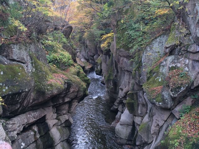 変わった名前の石がたくさんありました。遊歩道から下の川を覗くととても綺麗な景色が見られます。_磊々峡