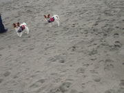 ゆうゆちゃんさんの県立葉山公園の投稿写真1