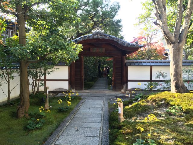 圓徳院 唐門_圓徳院