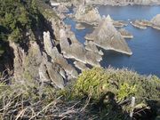 salmaさんの海金剛の投稿写真1