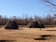 aaraさんの上野原縄文の森の投稿写真1