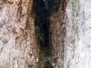 aguさんの和舟の「瀞峡めぐり」の投稿写真2