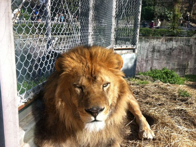 東山動植物園