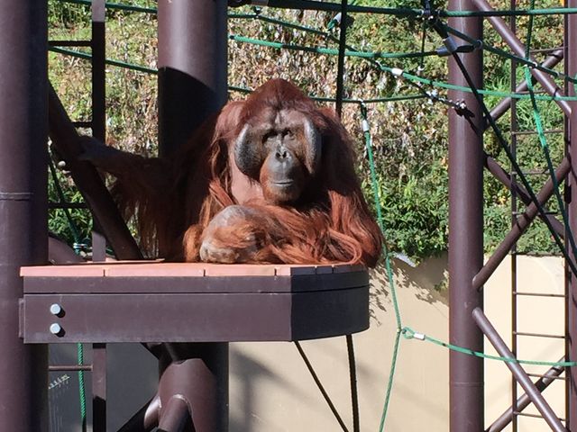 福岡市動植物園