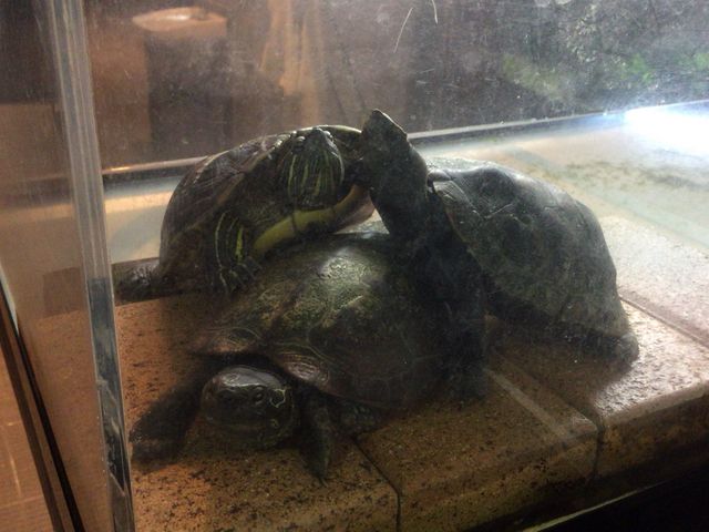 道の駅 みなかみ水紀行館