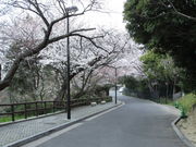 いわぴいさんの江波山公園の投稿写真2
