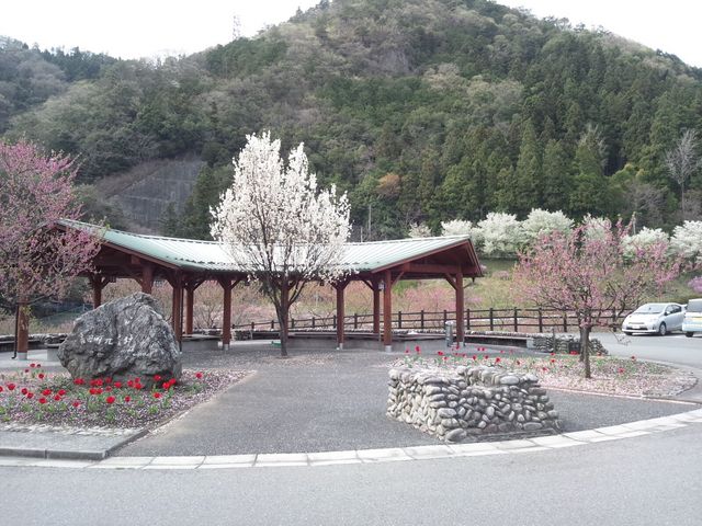 足湯です。_吉田元気村