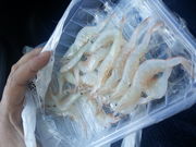 カズさんの魚の駅 生地(いくじ)の投稿写真1