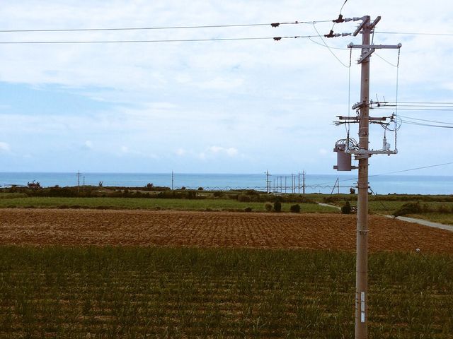 部屋から見えるサトウキビ畑と海_伊是名島