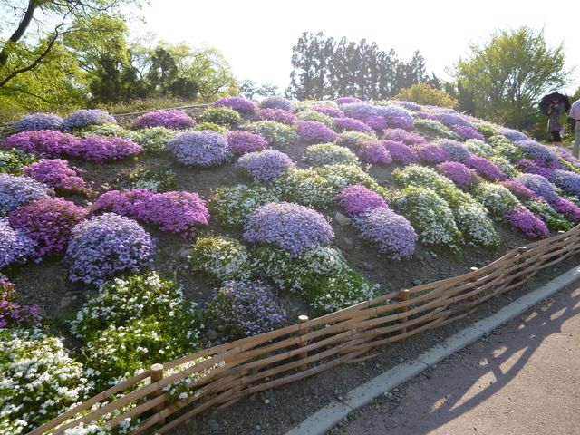 京都府立植物園