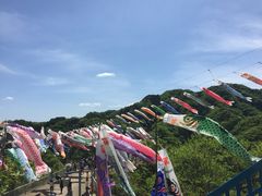 竜神大吊橋の写真1