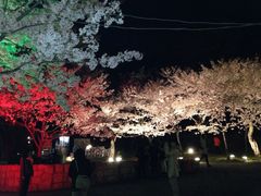 須磨浦公園の写真1