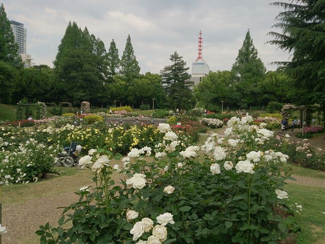 靱公園