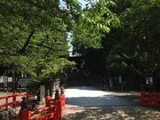 のーさんの仙台東照宮の投稿写真2