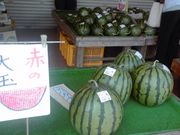 まー君さんのふれあい広場ふくまの投稿写真1