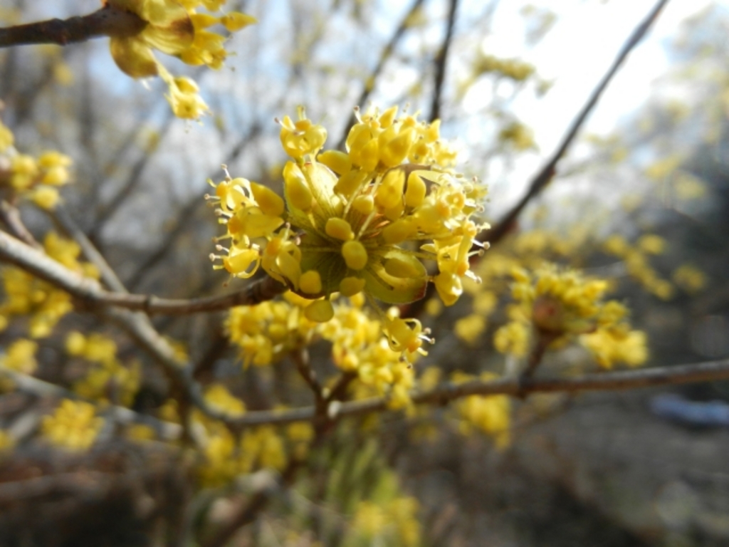 県立四季の森公園