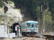 w-masaさんの樽見鉄道の投稿写真1