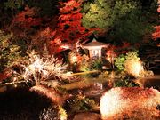 ルパン7777777さんの毘沙門堂の投稿写真5