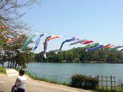 りんごさんの兵庫県立フラワーセンターの投稿写真1