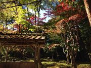 りらっくまさんの赤坂山公園の投稿写真2