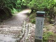 りえるさんのささやきの小径(奈良公園内)の投稿写真3