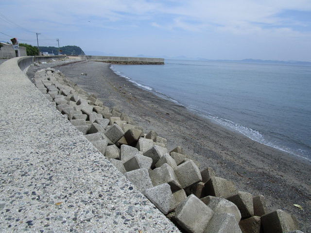 いわぴいさんの蒲野海岸の投稿写真1