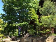 みいさんの蕎麦物語 遊山の投稿写真1