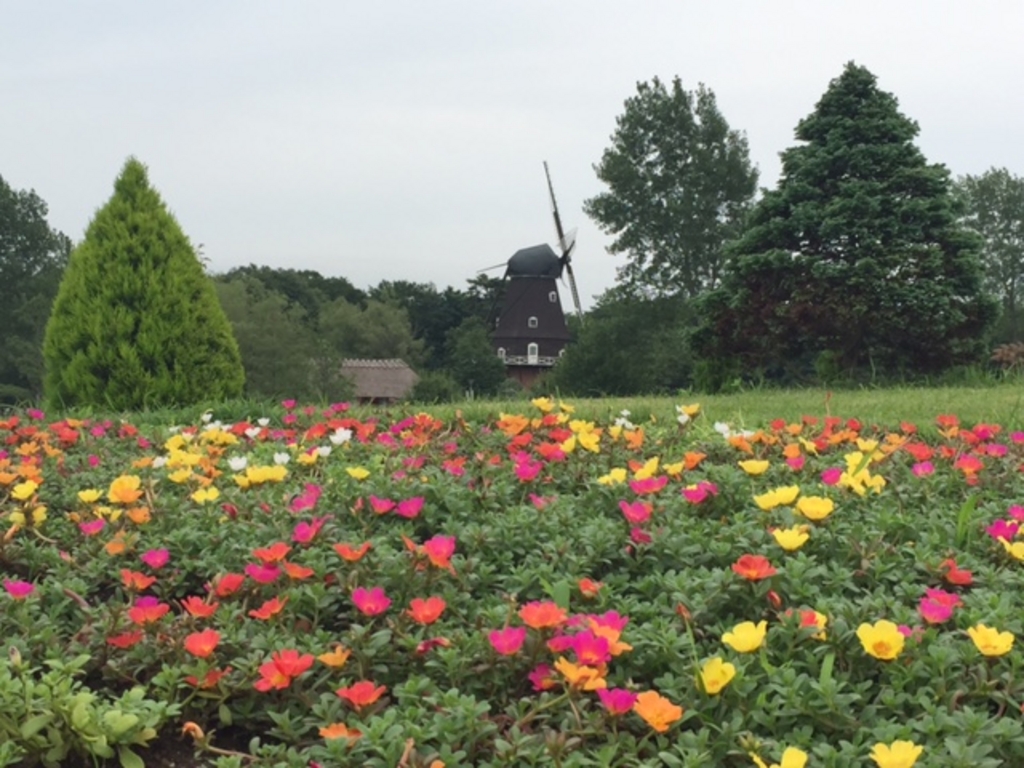ふなばしアンデルセン公園