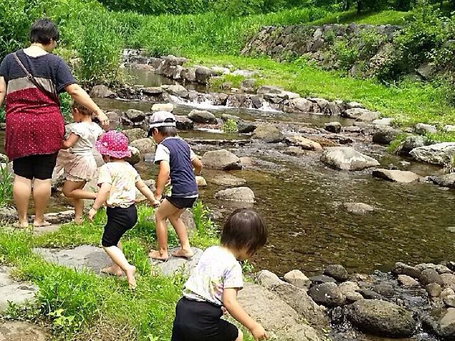 みっちょんさんのマウンテンストリーム岸本〔別所川渓流植物園〕の投稿写真1