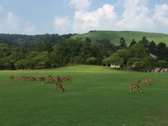 奈良公園の写真1