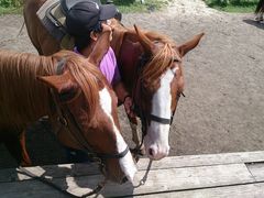 まんぷくさんのエル・パティオ牧場への投稿写真1