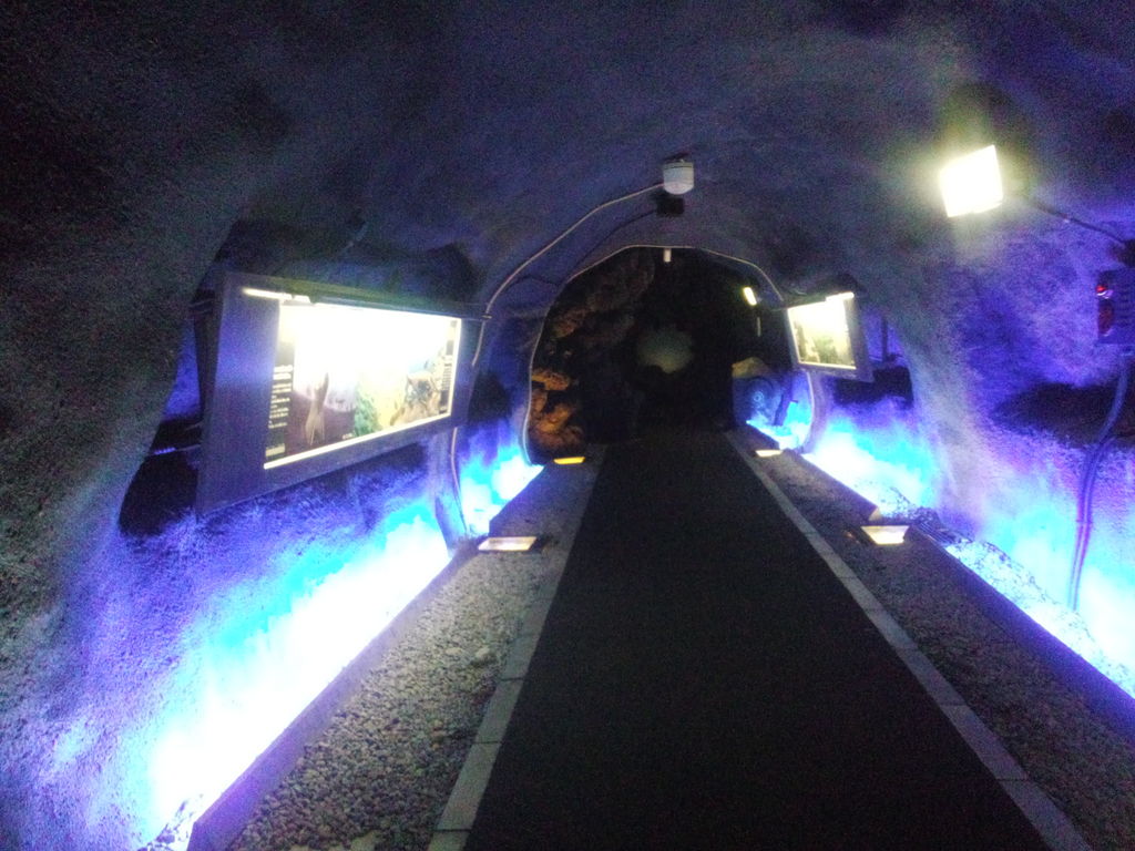 地球回廊