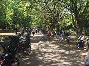 めぐみさんの駒沢オリンピック公園の投稿写真1