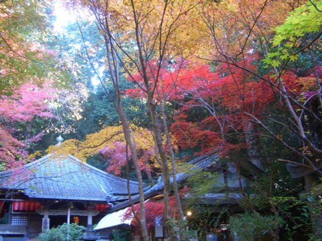 赤山禅院