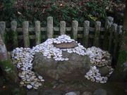 michiruさんの月読神社の投稿写真2