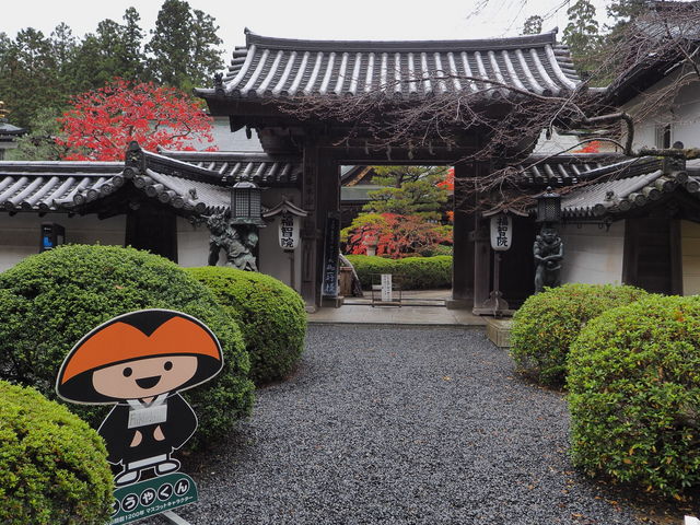 福智院_福智院