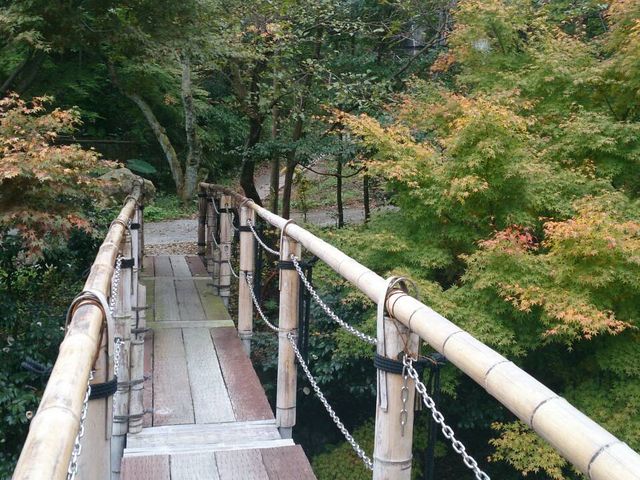 夢幻の里 春夏秋冬