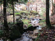 いわぴいさんの鳴滝の投稿写真3