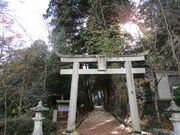 いわぴいさんの諏訪神社参道杉並木の投稿写真1